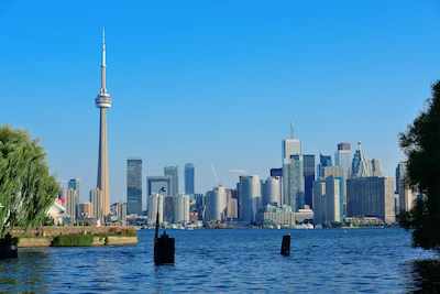 como viajar con perros a canada como viajar con perros a canada