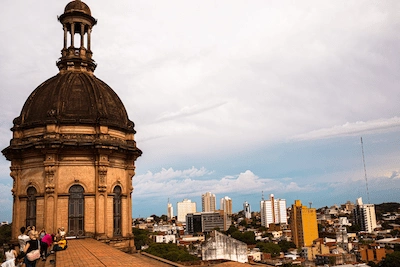 requisitos para viajar a colombia con perros requisitos para viajar a colombia con perros