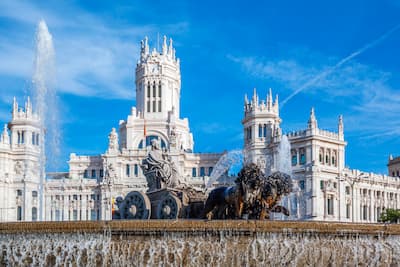 requisitos para viajar con perros a españa requisitos para viajar con perros a españa