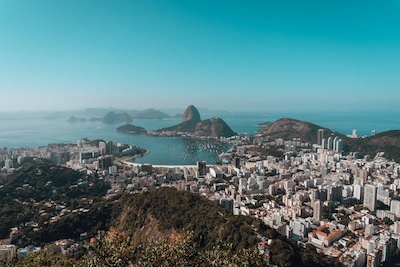 se puede viajar con perros a brasil se puede viajar con perros a brasil