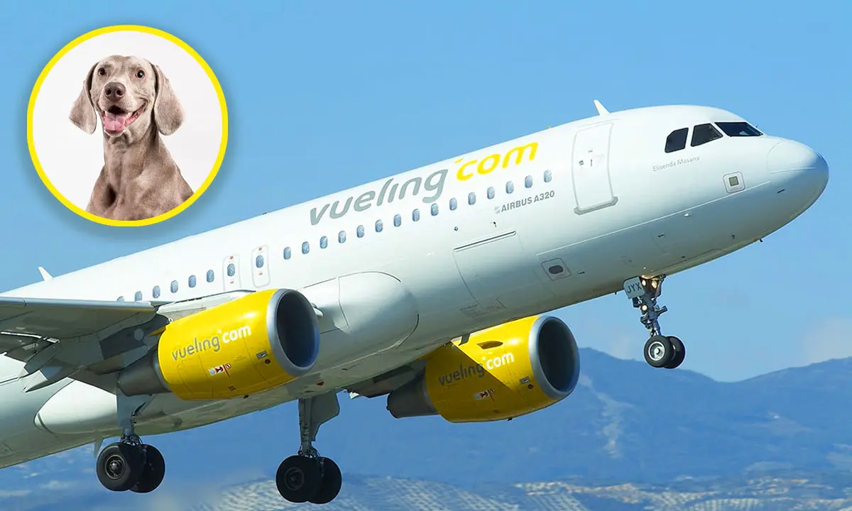 como-viajar-con-mascotas-en-vueling